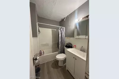 10518 Parkhurst Drive, Loveland, OH 44111 - Photo 20