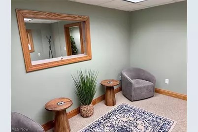 333 E Liberty Street, Wooster, OH 44691 - Photo 16