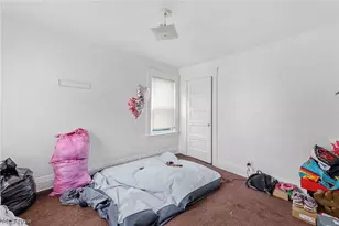 3422 Daisy Ave, Loveland, OH 44109 - Photo 36