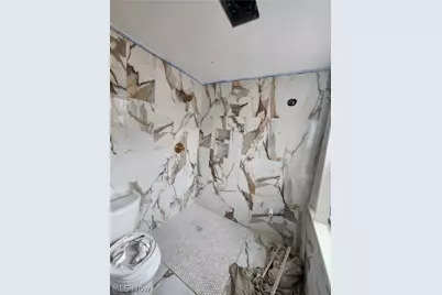 423 S Rose Boulevard, Akron, OH 44320 - Photo 38