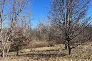 8520 County Road 16, Bryan, OH 43506 - Photo 4