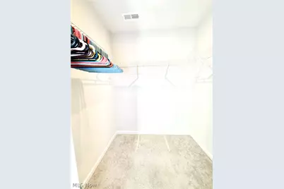 153 Raintree Lane, Painesville Twp, OH 44077 - Photo 8