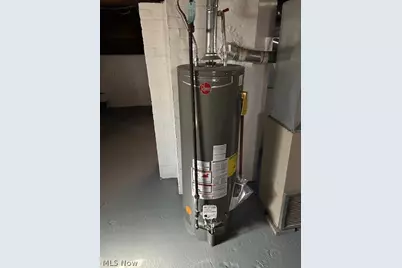 15710 Holmes Avenue, Loveland, OH 44110 - Photo 14