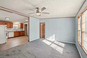 6805 Henderson Rd, Ravenna, OH 44266 - Photo 6