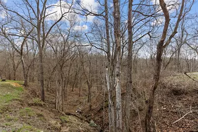 38340 Lees Run Road, Cadiz, OH 43907 - Photo 26