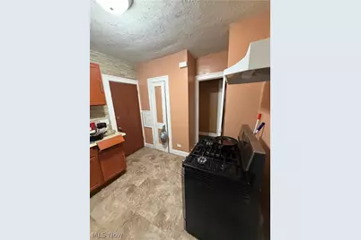 14520 Dover Avenue, Loveland, OH 44112 - Photo 4