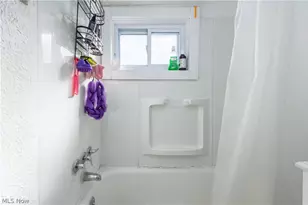 14101 Rainbow Ave, Loveland, OH 44111 - Photo 16