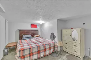 10273 E River Rd, Elyria, OH 44035 - Photo 26