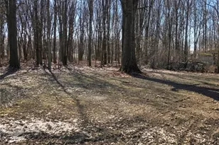 234 Oakwood St, Elyria, OH 44035 - Photo 26