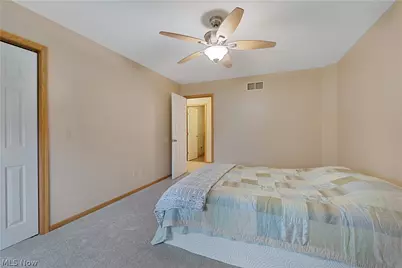 264 W Main Street, Canfield, OH 44406 - Photo 36