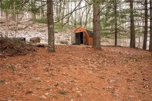 17607 Halleys, Pleasant City, OH 43772 - Photo 26