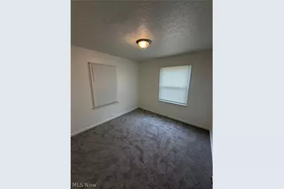 11912 Holborn Avenue, Loveland, OH 44105 - Photo 10