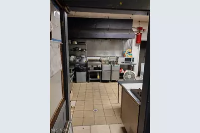 561 Seiberling Street, Akron, OH 44306 - Photo 10