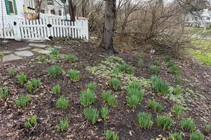 3415 Blackburn Rd NW, Canton, OH 44718 - Photo 32