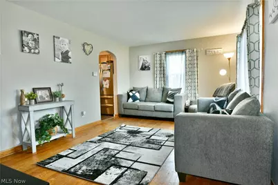 135 Clingan Street, Hubbard, OH 44425 - Photo 16