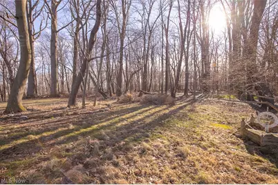 5595 Walnut Street, Mentor on the Lake, OH 44060 - Photo 34