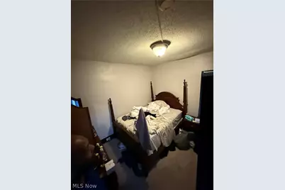 13609 Eaglesmere Avenue, Loveland, OH 44110 - Photo 10