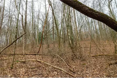 10445 Shannon Road, Frazeysburg, OH 43822 - Photo 20