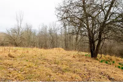 10445 Shannon Road, Frazeysburg, OH 43822 - Photo 14