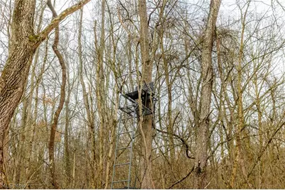 10445 Shannon Road, Frazeysburg, OH 43822 - Photo 12