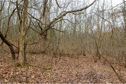 10445 Shannon Road, Frazeysburg, OH 43822 - Photo 6