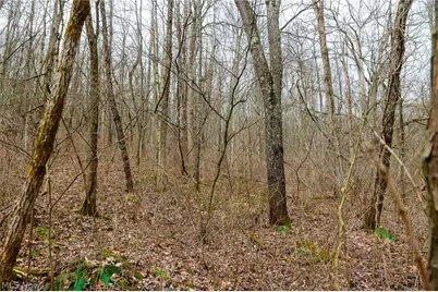 10445 Shannon Road, Frazeysburg, OH 43822 - Photo 4