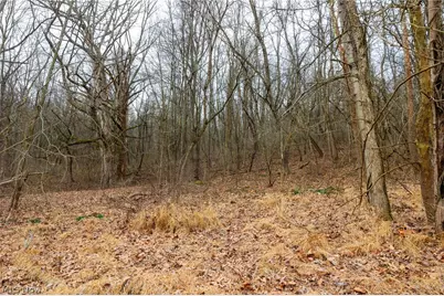 10445 Shannon Road, Frazeysburg, OH 43822 - Photo 6