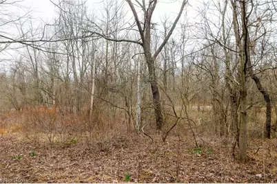 10445 Shannon Road, Frazeysburg, OH 43822 - Photo 4