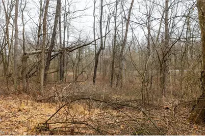 10445 Shannon Road, Frazeysburg, OH 43822 - Photo 10