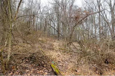 10445 Shannon Road, Frazeysburg, OH 43822 - Photo 8