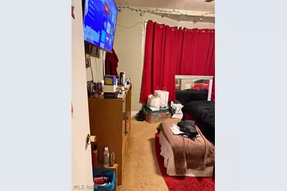 10111 North Boulevard, Loveland, OH 44108 - Photo 8