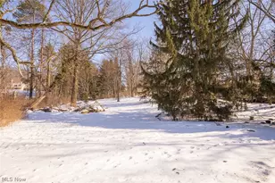 10725 York Rd, North Royalton, OH 44133 - Photo 28