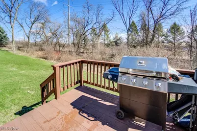 7533 Maplewood Drive, Glenwillow, OH 44139 - Photo 40