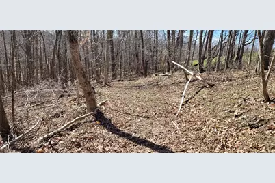 21776 State Route 79, Warsaw, OH 43844 - Photo 14