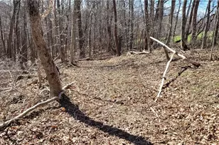 21776 State Route 79, Warsaw, OH 43844 - Photo 14