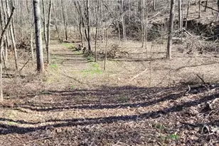 21776 State Route 79, Warsaw, OH 43844 - Photo 36