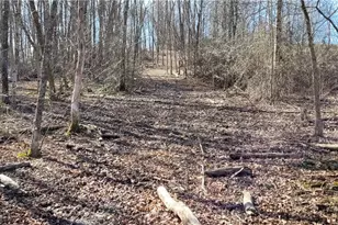 21776 State Route 79, Warsaw, OH 43844 - Photo 8