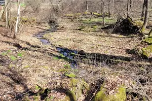 21776 State Route 79, Warsaw, OH 43844 - Photo 24