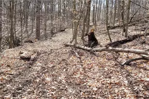 21776 State Route 79, Warsaw, OH 43844 - Photo 44