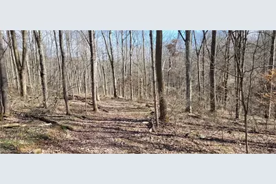 21776 State Route 79, Warsaw, OH 43844 - Photo 22