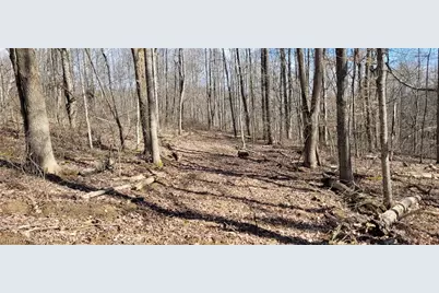 21776 State Route 79, Warsaw, OH 43844 - Photo 20