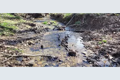 21776 State Route 79, Warsaw, OH 43844 - Photo 6