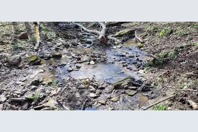 21776 State Route 79, Warsaw, OH 43844 - Photo 26