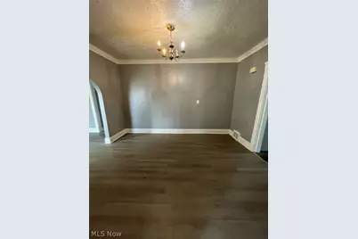 875 E 131st Street, Loveland, OH 44108 - Photo 4