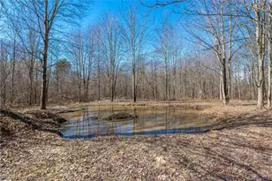 15120 State Route 83 Rd, Grafton, OH 44044 - Photo 46