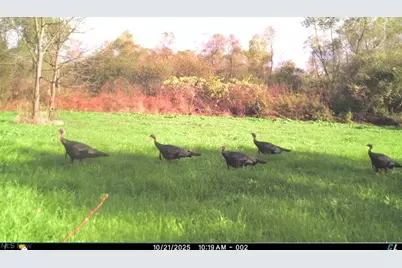 12167 Mantua Center Road, Mantua, OH 44255 - Photo 18