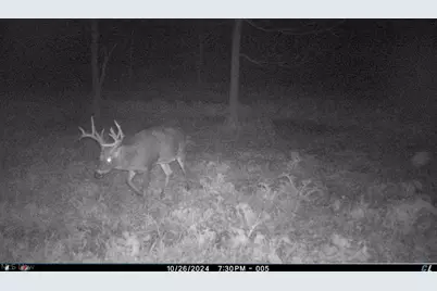 12167 Mantua Center Road, Mantua, OH 44255 - Photo 16