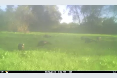 12167 Mantua Center Road, Mantua, OH 44255 - Photo 22