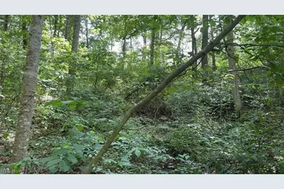 Point Lookout Road, Stockport, OH 43787 - Photo 12