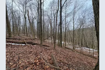 0 Tract 4 Twp Rd 815, Woodsfield, OH 43793 - Photo 26